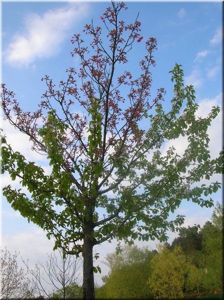 DSCN9910.jpg