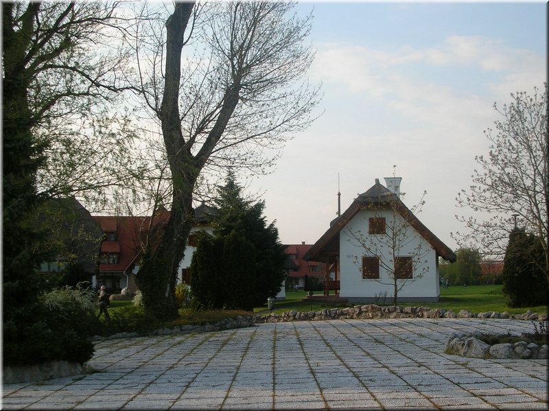 DSCN9912.JPG