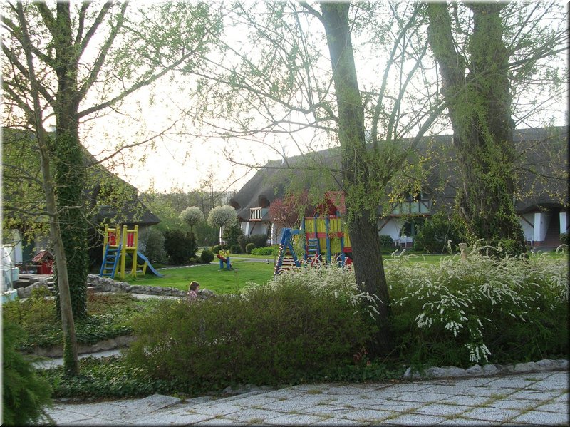 DSCN9913.JPG