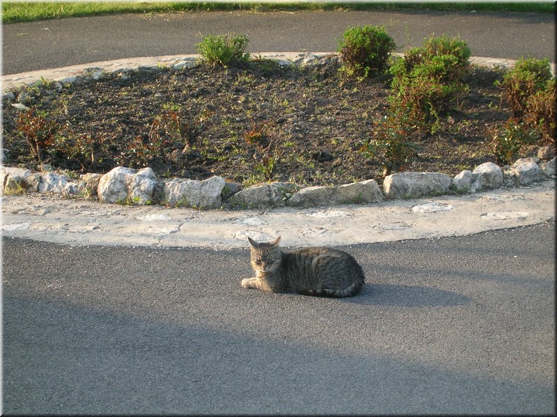 DSCN9916.JPG
