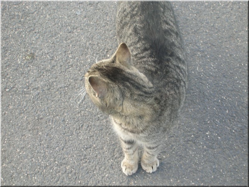 DSCN9917.JPG