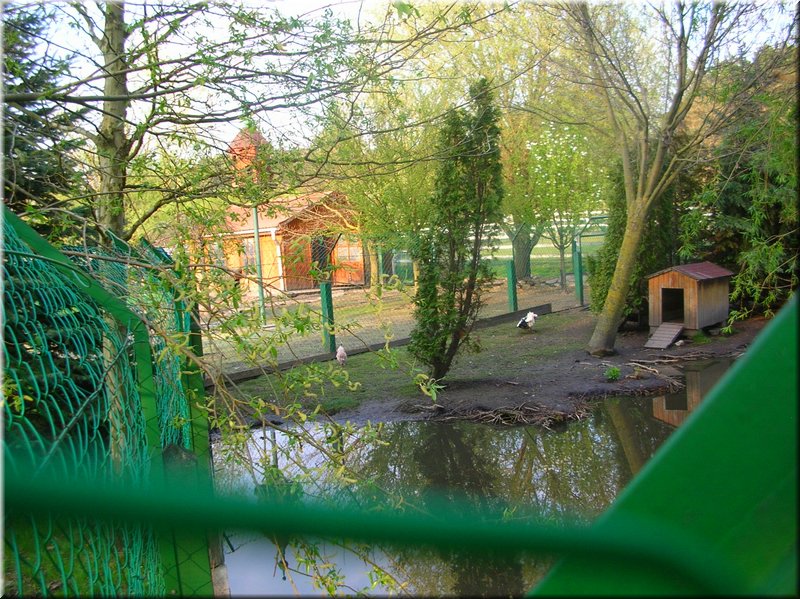 DSCN9918.JPG