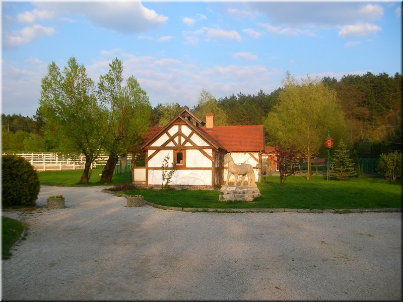 DSCN9919.JPG
