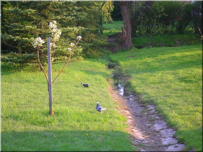 DSCN9920.JPG