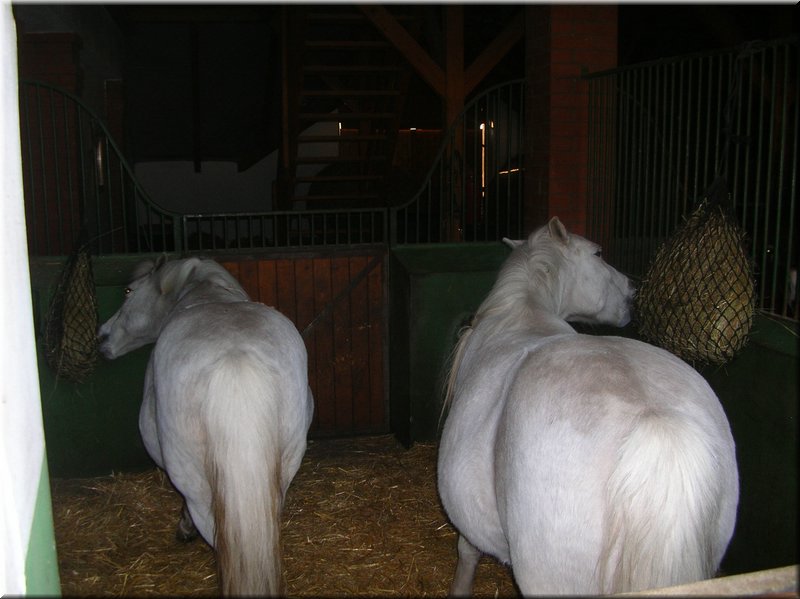 DSCN9929.JPG