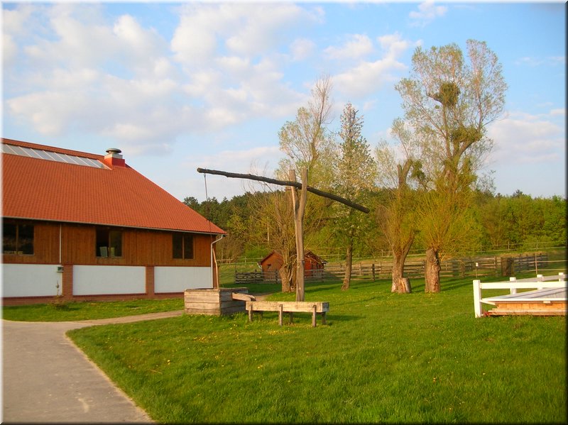 DSCN9935.JPG