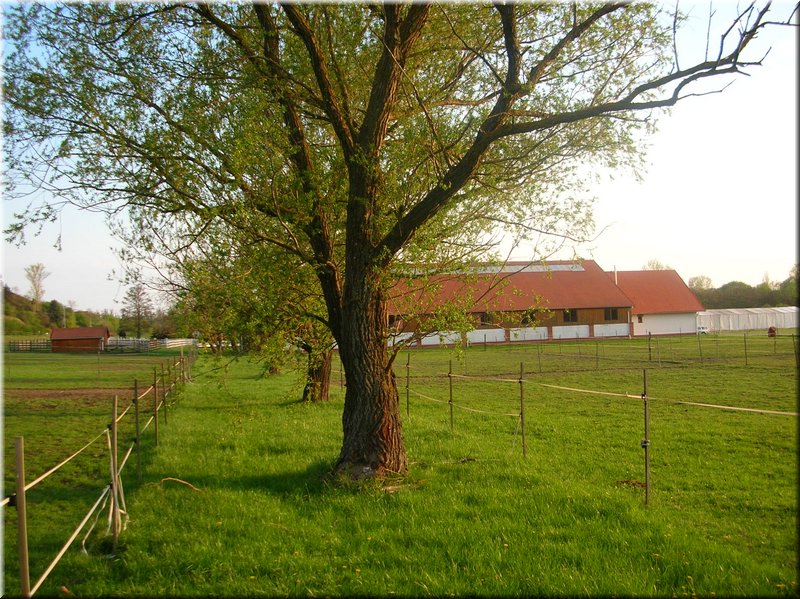 DSCN9939.JPG