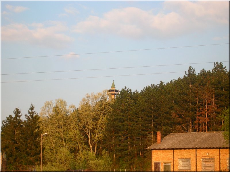 DSCN9941.JPG