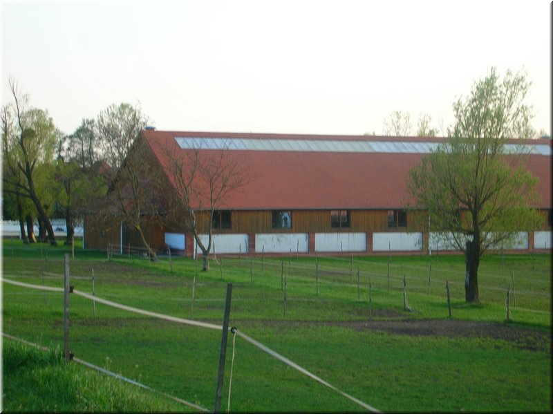 DSCN9944.JPG