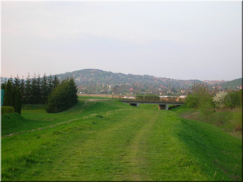 DSCN9945.JPG