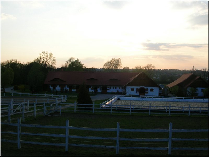DSCN9947.JPG