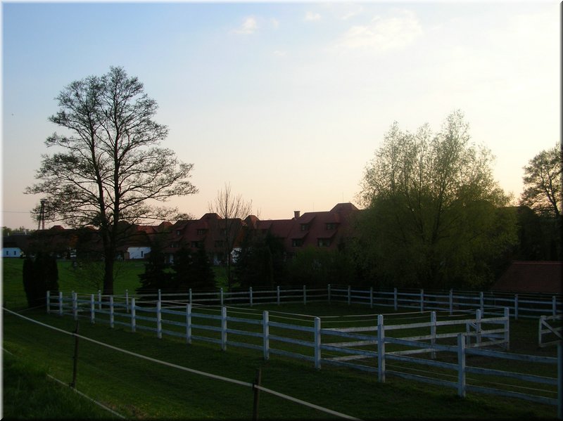 DSCN9950.JPG