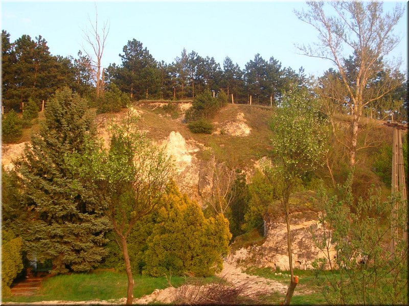 DSCN9952.JPG