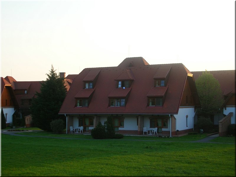 DSCN9954.JPG
