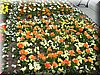 DSCN9757.JPG