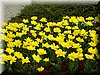 DSCN9759.JPG