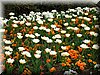 DSCN9760.JPG