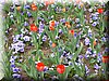 DSCN9761.JPG