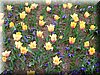 DSCN9767.JPG
