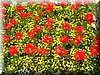 DSCN9770.JPG