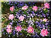 DSCN9774.JPG