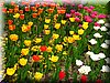 DSCN9775.JPG