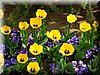 DSCN9776.JPG