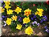 DSCN9777.JPG