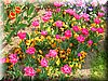 DSCN9778.JPG