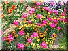 DSCN9779.JPG