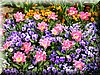 DSCN9781.JPG