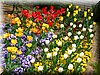 DSCN9782.JPG