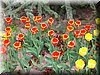 DSCN9784.JPG