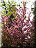 DSCN9787.jpg