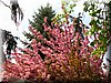 DSCN9788.JPG