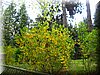 DSCN9789.JPG