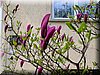 DSCN9793.JPG