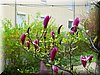 DSCN9794.JPG
