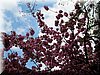 DSCN9796.JPG