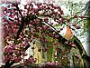 DSCN9797.JPG