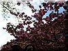 DSCN9798.JPG