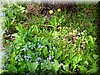 DSCN9799.JPG