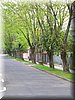 DSCN9806.jpg