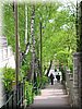 DSCN9807.jpg