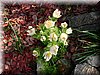 DSCN9809.JPG