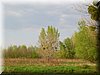 DSCN9815.JPG