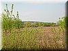 DSCN9821.JPG