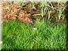 DSCN9823.JPG