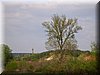 DSCN9824.JPG