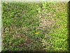 DSCN9829.JPG